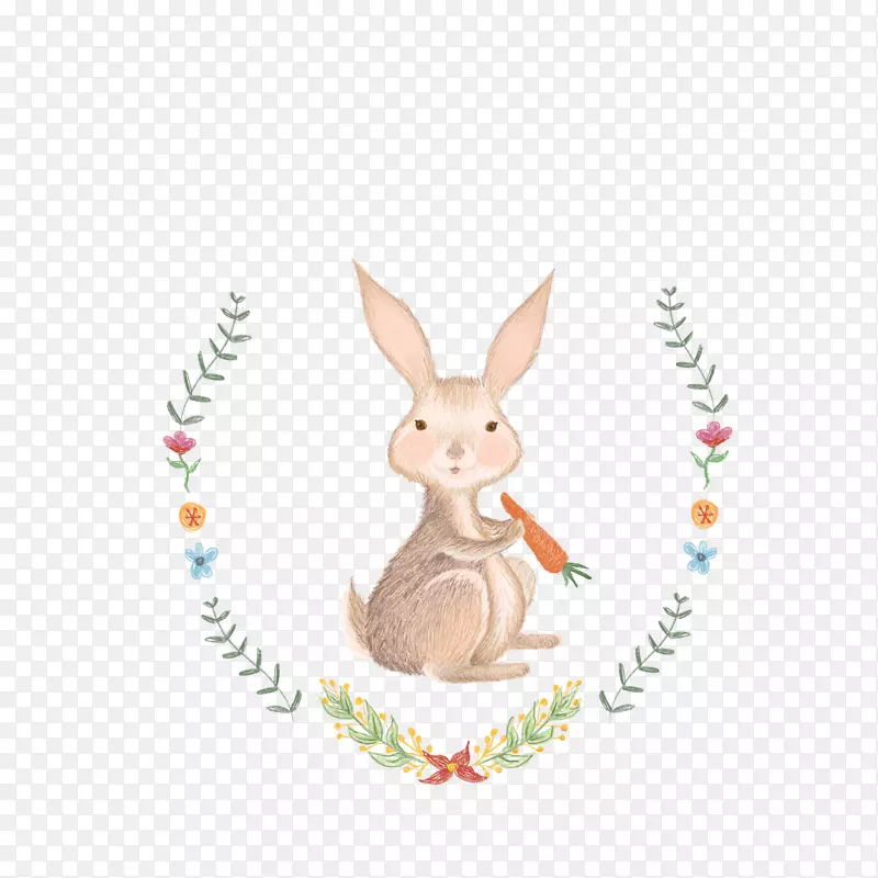 家养兔子复活节兔-甜兔
