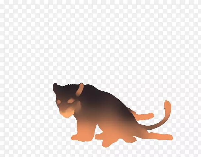 胡须猫科狮子鬣狗-猫