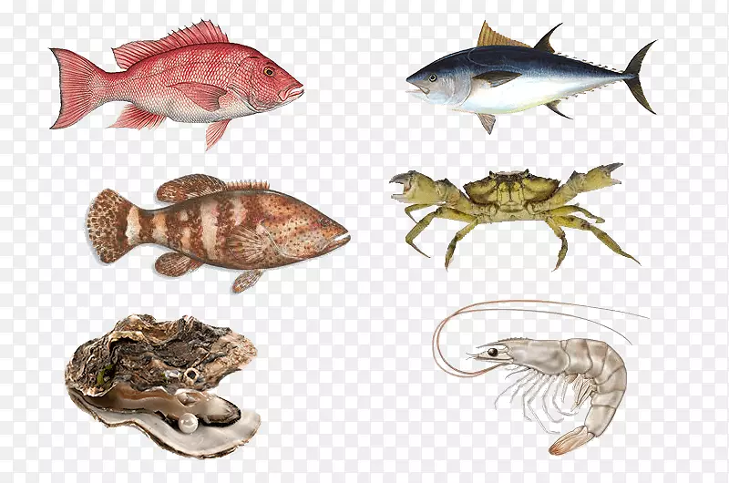 鱼，牡蛎，螃蟹，鱼