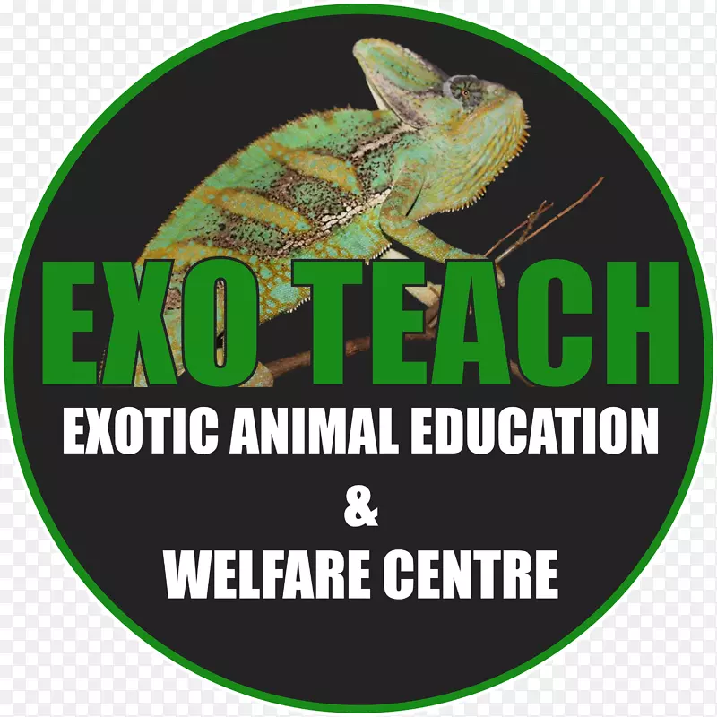 EXO教授教育外来宠物异国动物兽医非营利性组织动物福利