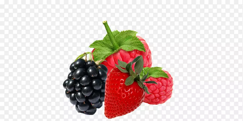 红色覆盆子黑莓-黑莓