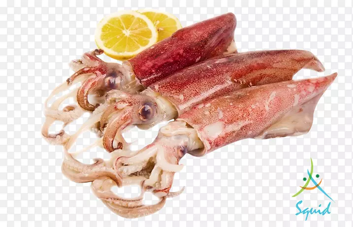 墨西哥鱿鱼作为食物-海鲜鱿鱼