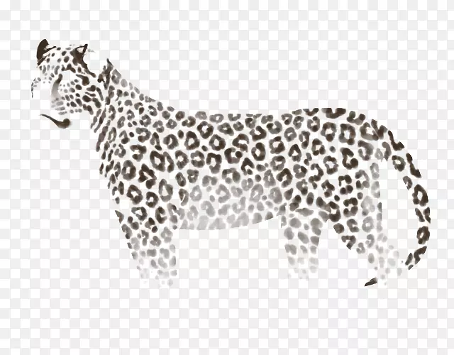 豹虎豹动物豹