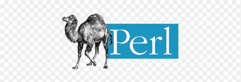 Perl动态编程语言脚本语言计算机编程-perl