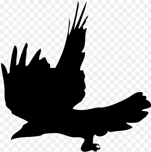 乌鸦轮廓喙夹艺术-乌鸦标志