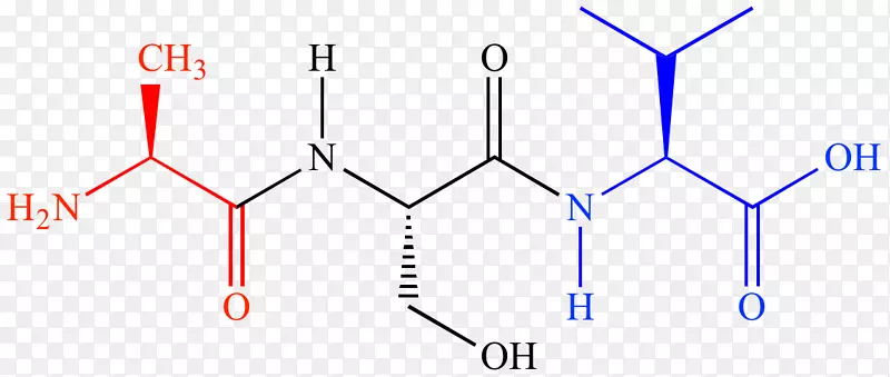 四肽二肽化学氨基酸