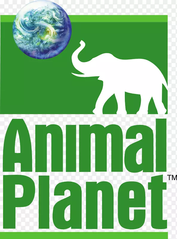 动物星球电视频道-动物标志