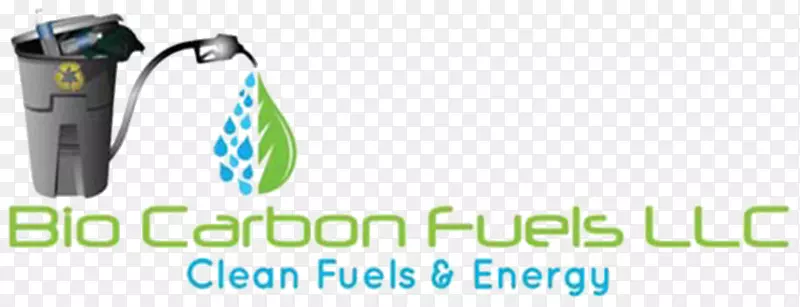燃料电池技术碳基燃料生态能源国际