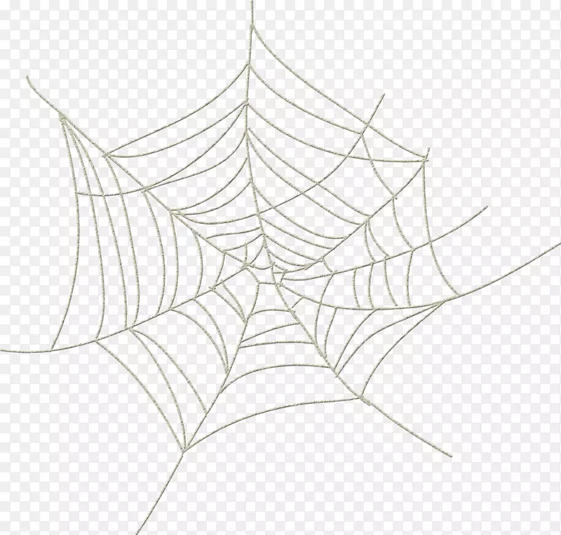 蜘蛛网蜘蛛丝夹艺术蜘蛛