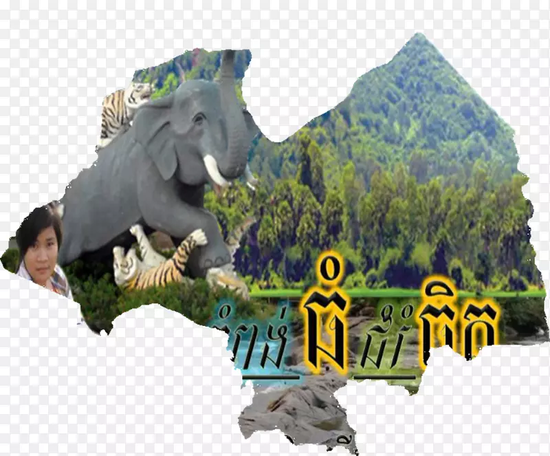 恐龙动物群-康平省旅游野生动物-恐龙