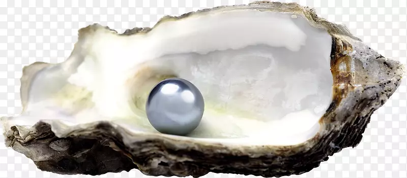 珍珠珠宝牡蛎摄影-lc