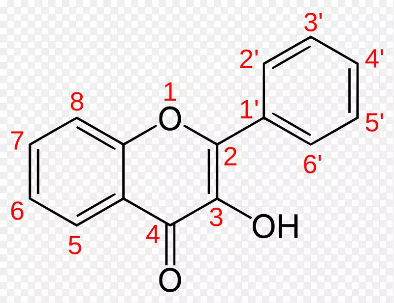 黄酮醇、黄酮、桑椹素、槲皮素、黄酮-L.O.L.