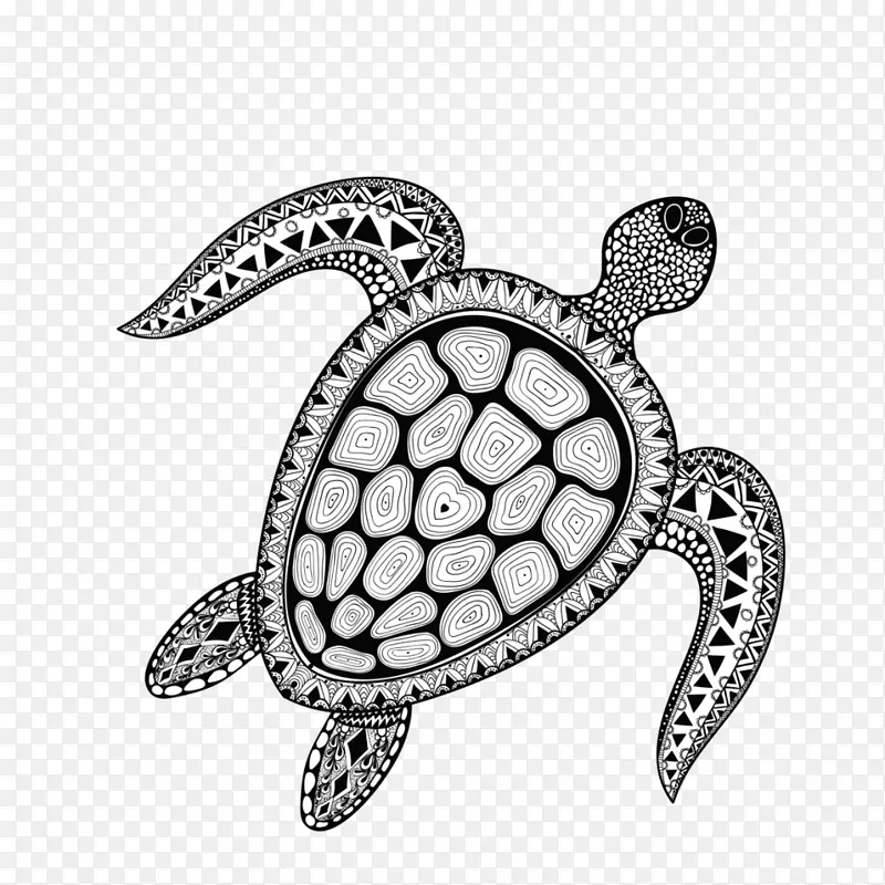 海龟图腾澳大利亚土著象征海龟