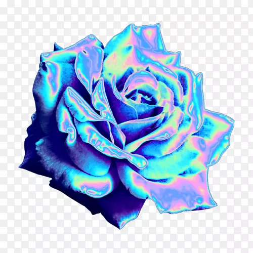 蓝色玫瑰花园玫瑰Tumblr博客-全息