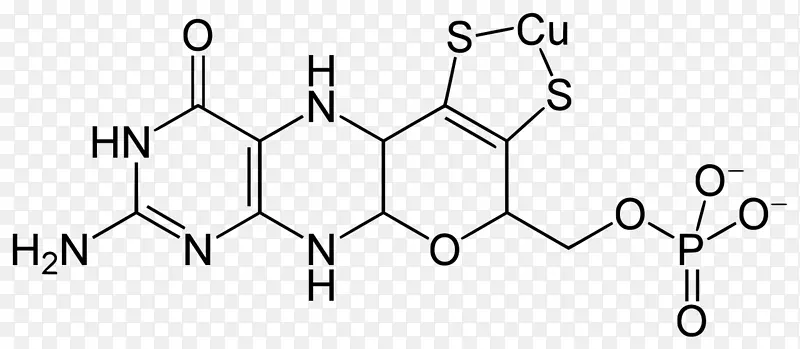 叶酸化学分子尿囊素结合