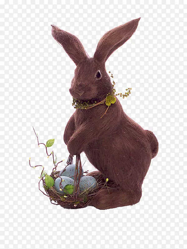 家养兔子复活节兔子-兔子