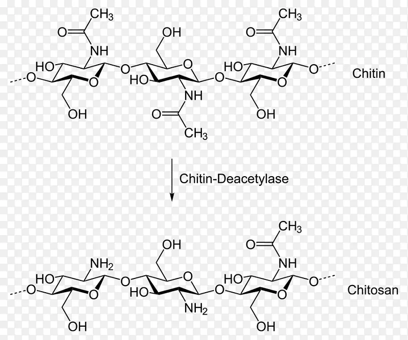 壳聚糖脱乙酰酶化学合成化学降解