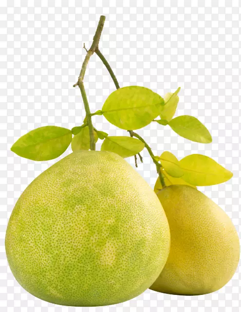 柚子水果柠檬橙柠檬