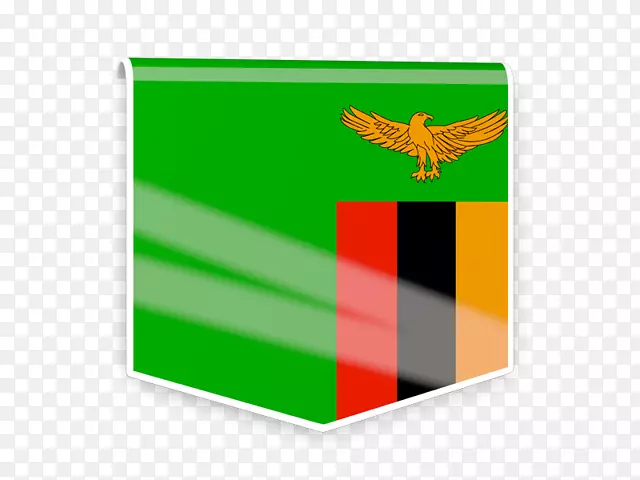 赞比亚品牌足球协会-设计