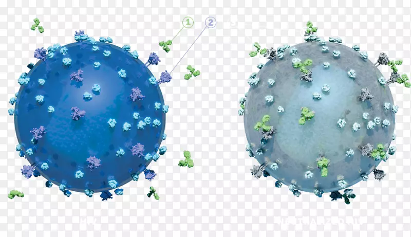 抗体t细胞包膜糖蛋白gp 120淋巴细胞
