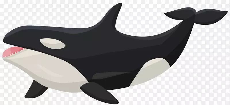 虎鲸剪贴画-虎鲸