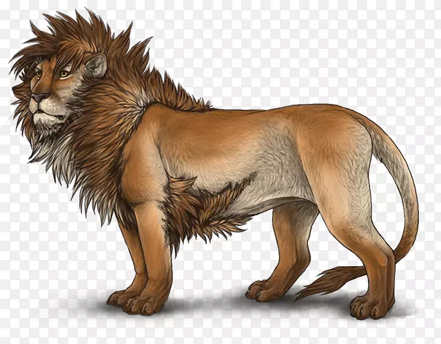 狮子猫科咆哮野生动物-狮子