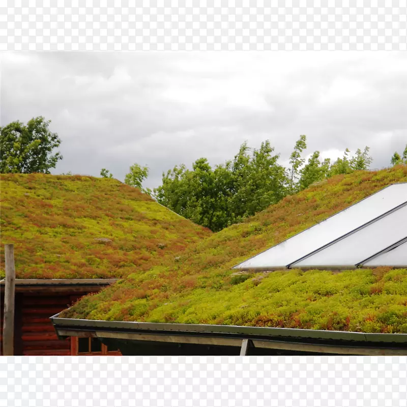 屋顶花园ők绿色屋顶生态网格-刚玉