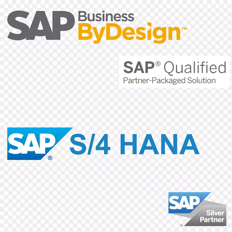 SAP s/4 HANA sap Hana sap se sap业务-云计算