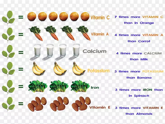 营养鸡腿树营养物质标签维生素可食用种子