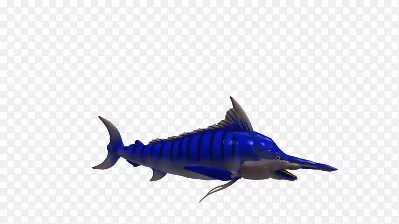 鲨鱼海洋生物骨骼鱼类海洋钴蓝鲨