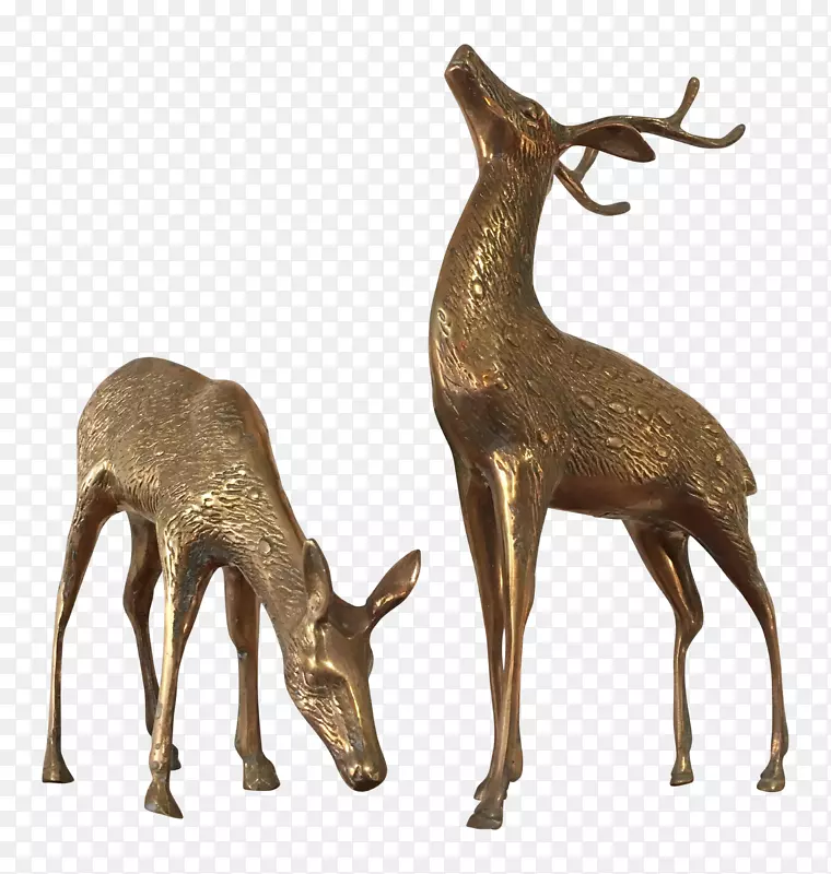 麋鹿，白尾鹿，麝香鹿，驯鹿