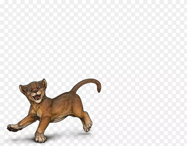 狮子鬣狗猫科羚羊-狮子