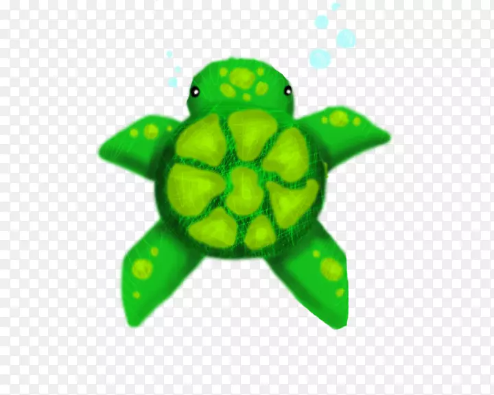 海龟-海龟