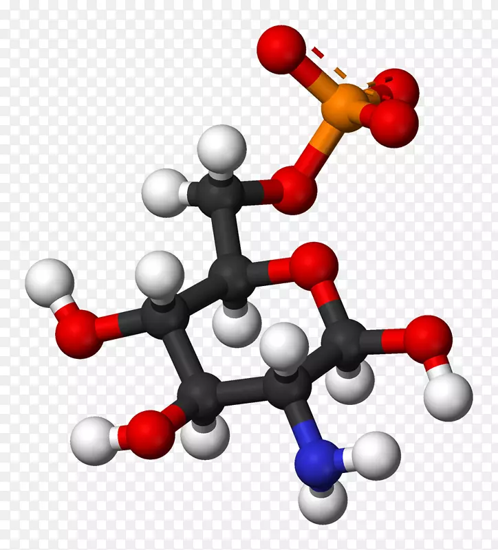 分子碳水化合物代谢化学氨基葡萄糖-β