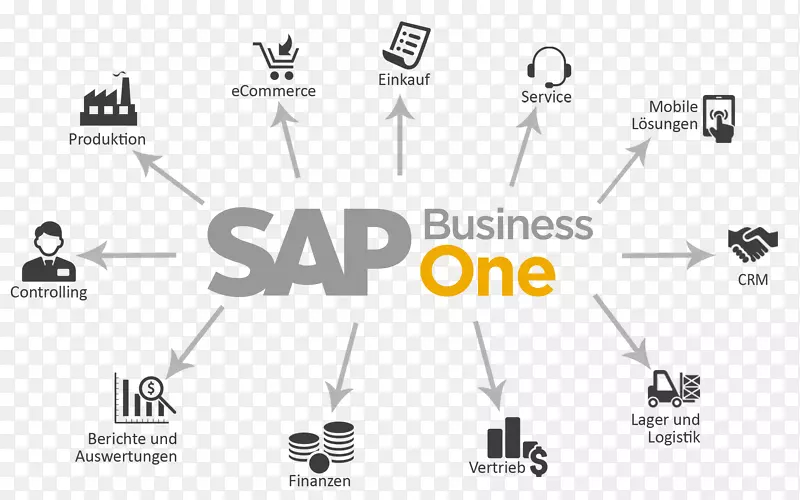 SAP业务一企业资源规划sap se管理-业务