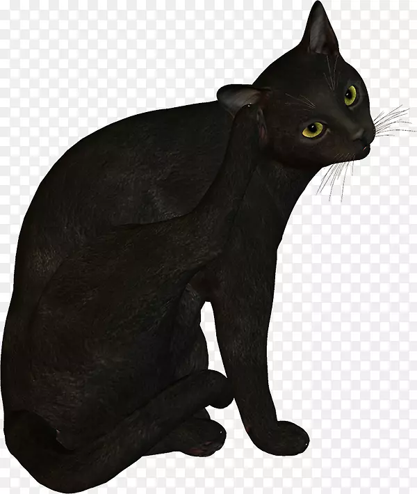 黑猫孟买猫科拉特家短毛猫胡须水彩画猫