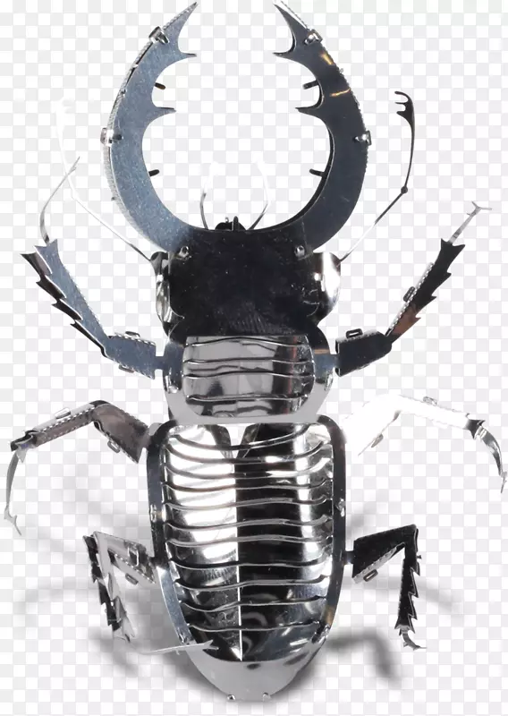 雄鹿甲虫大力神甲虫金属犀牛甲虫