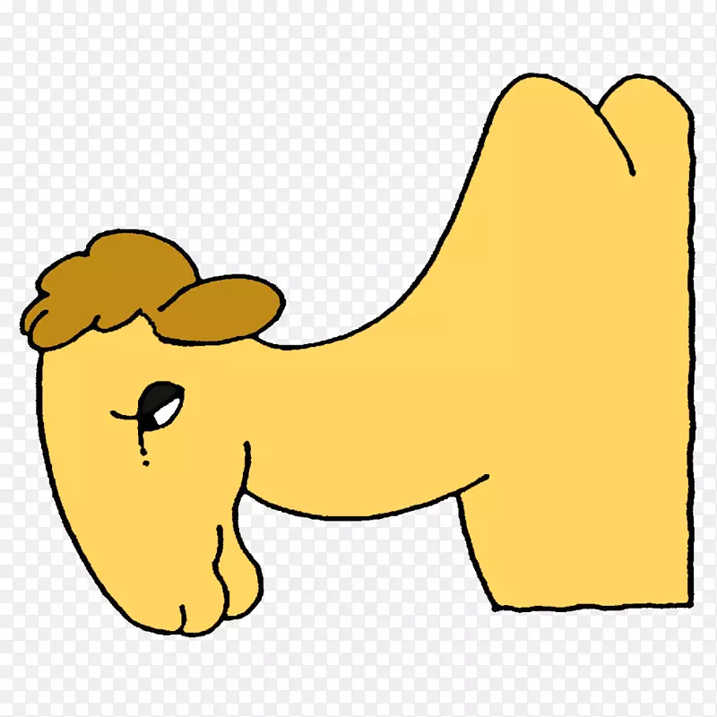 鼻子骆驼食肉白色剪贴画-骆驼