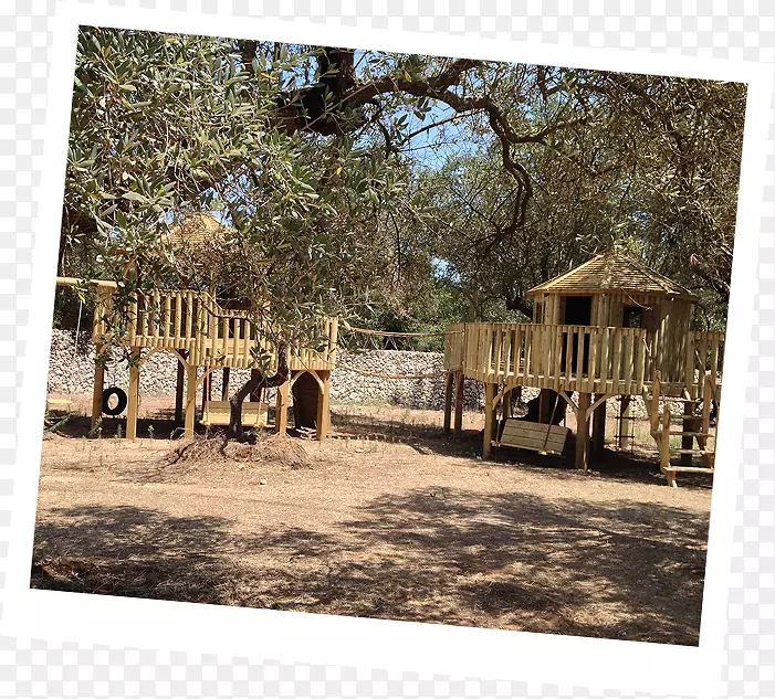 景观野生动物-树屋