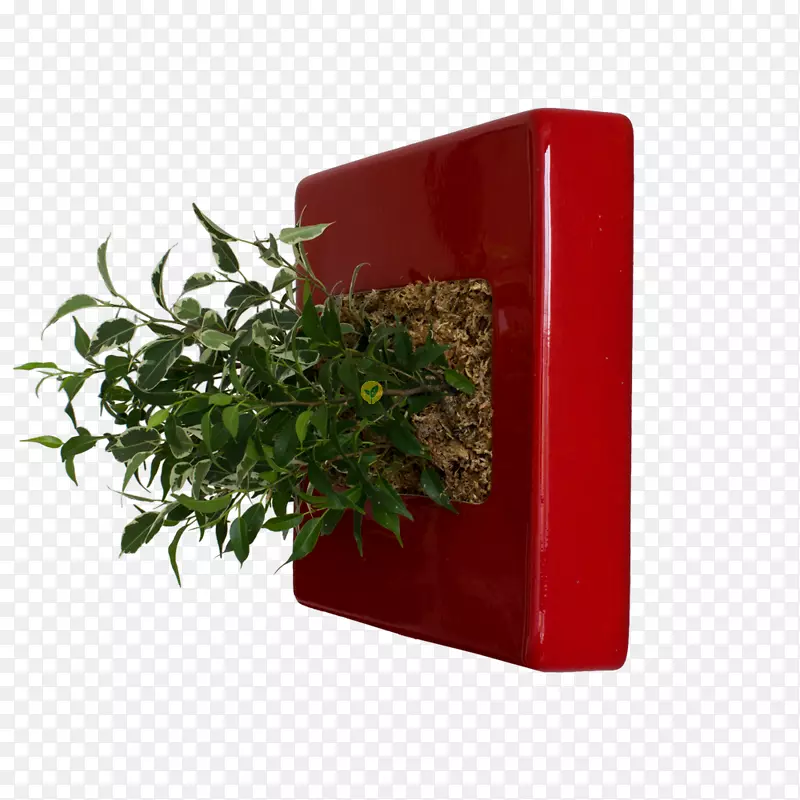 药草花盆长方形-花盒