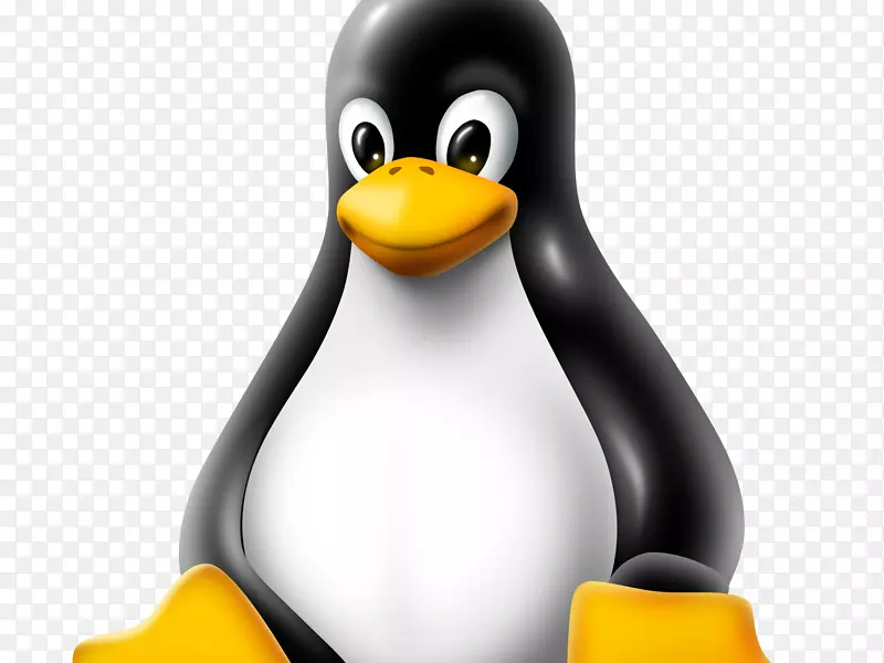 Linux内核安全黑客