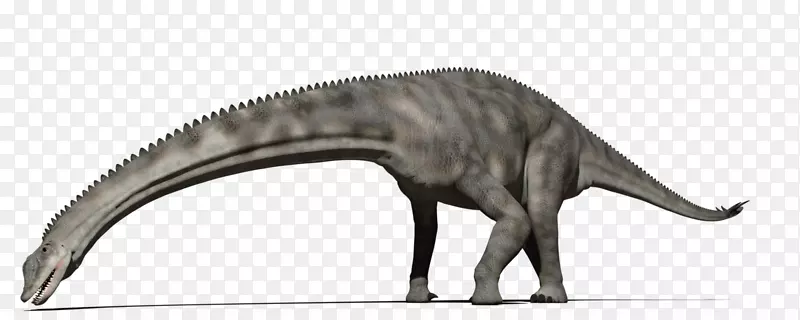 恐龙野生动物-恐龙
