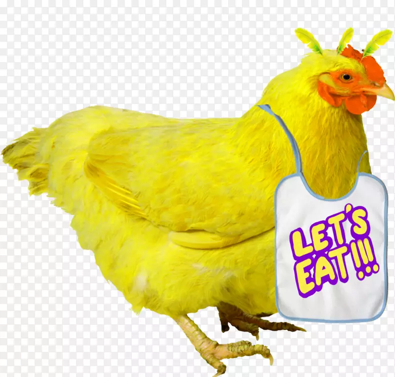 脆炸鸡作为食物家禽-鸡肉