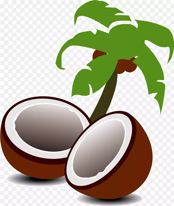 椰子槟榔科树夹艺术-椰子