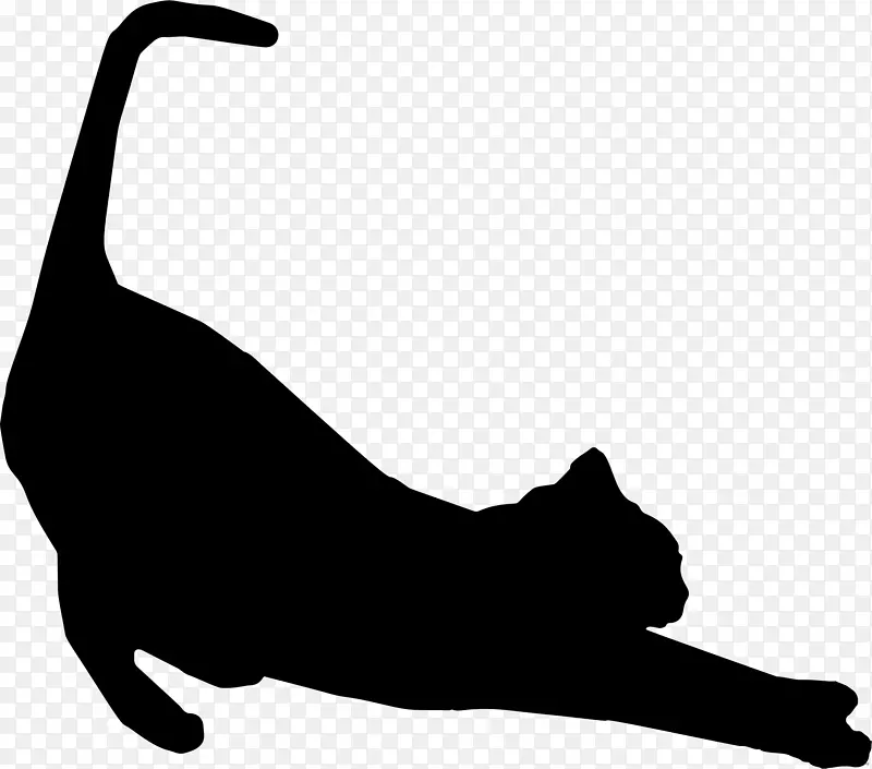 维多利亚暹罗猫保护协会猫剪影伸展猫