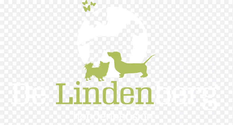 Lindenberg B.V.比格拉布拉多猎犬英国小猎犬-林登