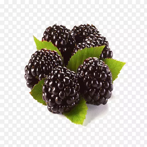 黑莓覆盆子果实