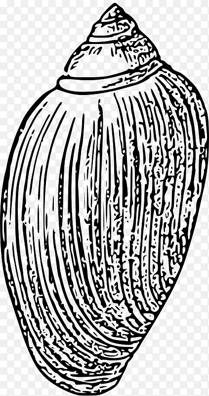 黑白无脊椎动物贝壳画夹艺术-贝壳