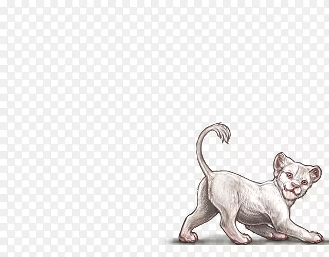 小猫狮子白化病小狗-小猫