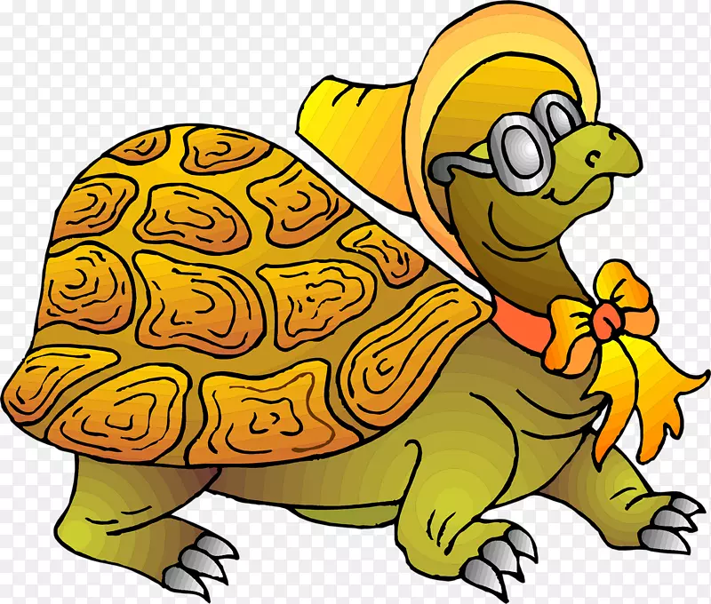小龟小笔-乌龟
